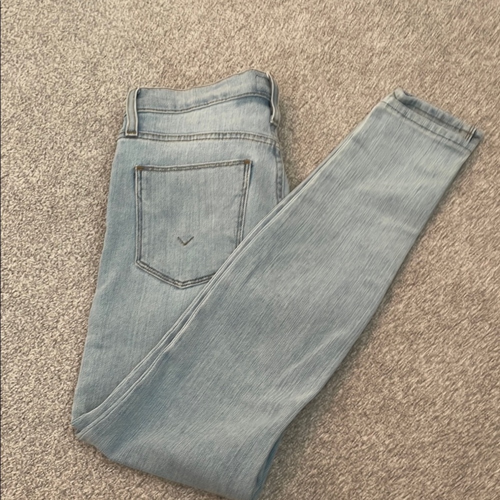 Hudson Jeans Blue Skinny Denim